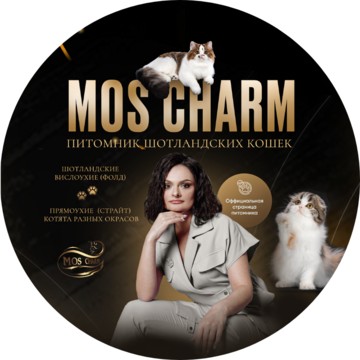 Питомник кошек Mos Charm (Мос Шарм) фото 1