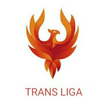 Транспортная компания Trans Liga фото 1
