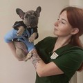 Фотография специалиста Димитрюк-Замятина Диана Анатольевна