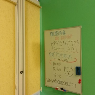 Зоосалон Welcome pets фото 2