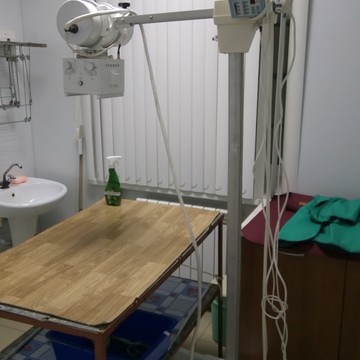 Ветеринарная лечебница Красноармейского района фото 1