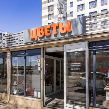 Магазин цветов Танацетум фото 3