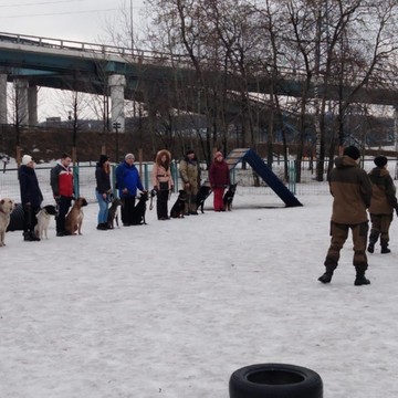 Дрессировка Собак КЦ &quot;АНУБИС&quot; фото 1