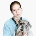 Фотография специалиста Григорьева Анна Сергеевна