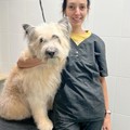 Фотография специалиста Егорова Ксения Анатольевна