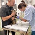Фотография специалиста Рогачева Милана Вадимовна
