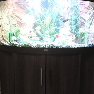 Juwel-aquariums.ru фото 3
