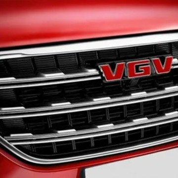 VGV фото 1