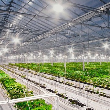 Светотехнический завод ИнтерЭкоТехнологии фото 1