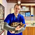 Фотография специалиста Сурков Роман Анатольевич