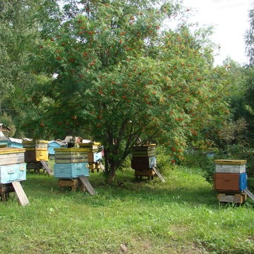 Пчеловод, Магазин фото 1