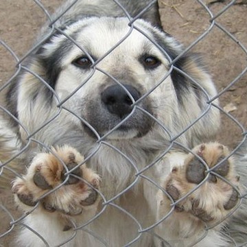 Волгоградский детский дом фото 2
