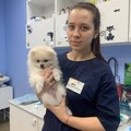 Фотография специалиста Кулинич Диана Андреевна
