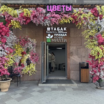 Сервисный центр Pedant.ru на метро Тверская фото 3