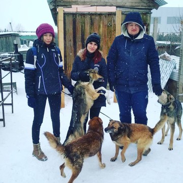 Приют для собак Верность в Свердловском районе фото 2