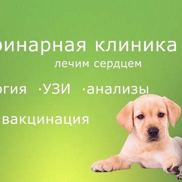 Ветеринарная клиника Вместе фото 1