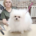 Фотография специалиста Цыпкина Татьяна Александровна