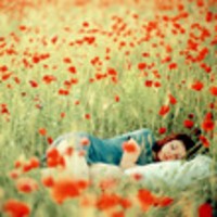 Аватар пользователя Annetta