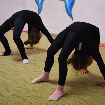 Школа художественной гимнастики GymBalance на Лермонтовском проспекте фото 2