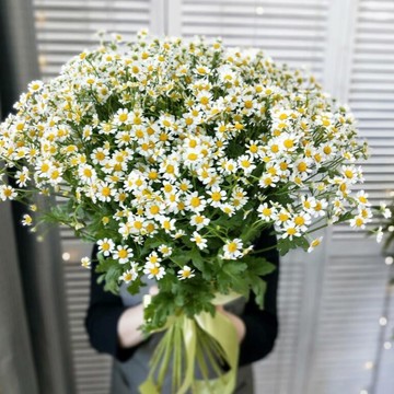 Салон цветов Dashe flowers фото 3