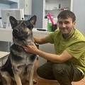 Фотография специалиста Караев Али
