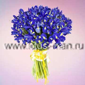 Цветы 24 (lotus-man) фото 1