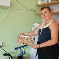 Фотография специалиста Соловьева Марианна