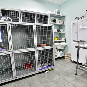 Ветеринарная клиника Центр Здоровья Животных на Тепличной улице фото 1