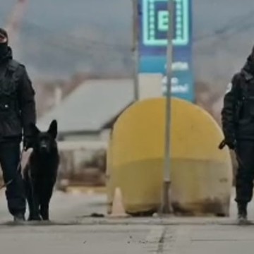 K9 Expert Центр кинологической службы фото 3