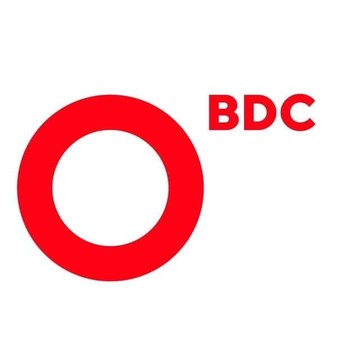 Компания BDC Consulting фото 1