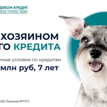 Банк Девон-Кредит на проспекте Шинников фото 2