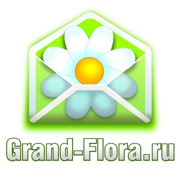 Доставка цветов Гранд Флора (ф-л г. Лобня) фото 1