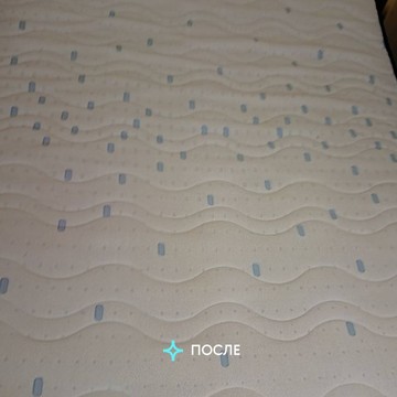 Братья Чистовы фото 3