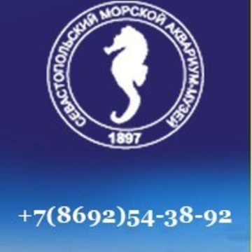 Севастопольский Аквариум фото 1