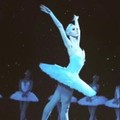 Фотография специалиста Емельянова Анастасия Андреевна