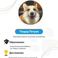 Фотография специалиста Петров Теодор