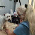 Фотография специалиста Кравцова Елена Валерьевна
