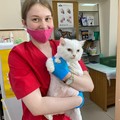 Фотография специалиста Павлова Анастасия Евгеньевна