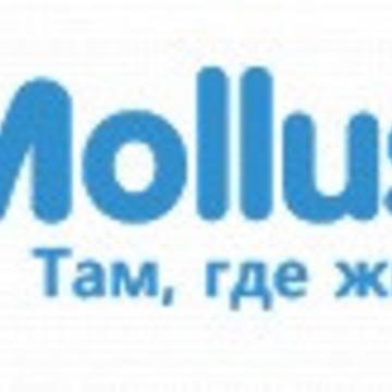 Магазин Molluska фото 1