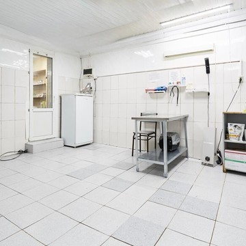 Ветеринарная клиника Алабай фото 2