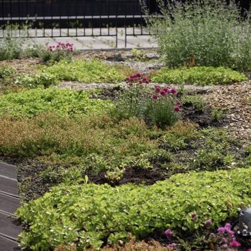 Pro Drain фото 2