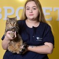 Фотография специалиста Никишина Кристина Васильевна