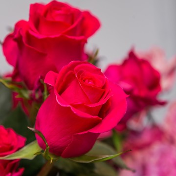 Цветочная мастерская Pink Stork фото 1
