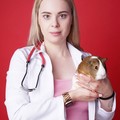 Фотография специалиста Коркоц Дана