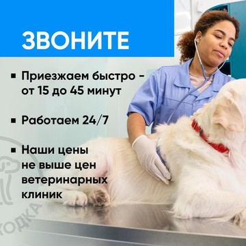 Ветеринарная служба Ветнаходка на Валдайской улице фото 3
