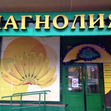 Магнолия на Бауманской (ул Красносельская Верхн.) фото 1