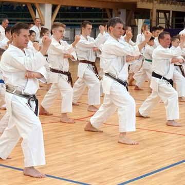 Региональная общественная физкультурно-спортивная организация «Карельская федерация каратэ» фото 2