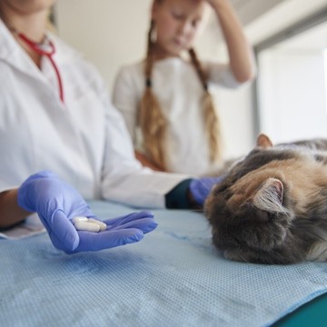 Ветеринарный центр Любимчик в Одинцово фото 2