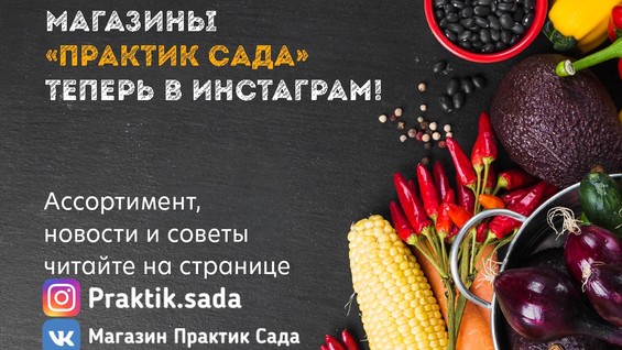 Магазин Семена В Девяткино Каталог Саженцев