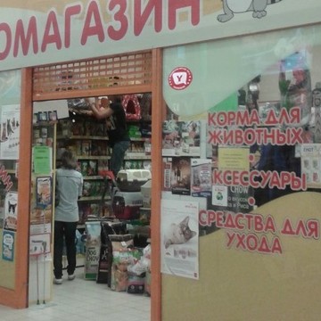 Енот на улице Приморское фото 1